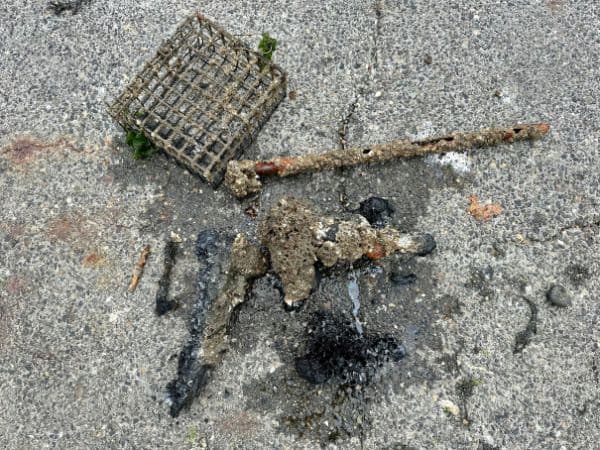Magnet fishing find: Magnet fishing finds in Astoria, Oregon