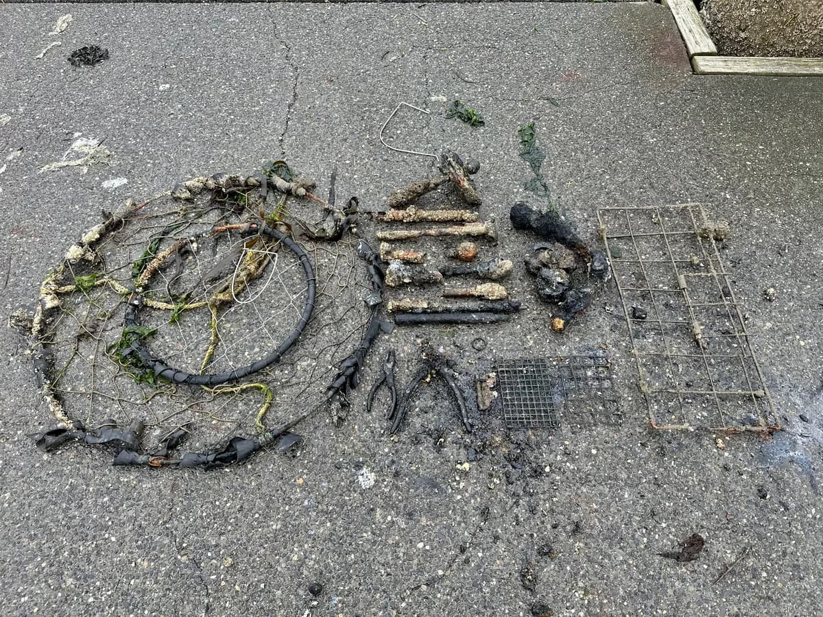 Magnet fishing find: Barnacle-covered crab trap and tools from ocean magnet fishing