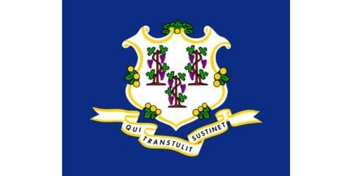 Connecticut state flag