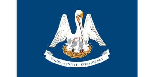 Louisiana state flag
