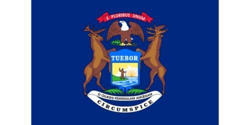 Michigan state flag