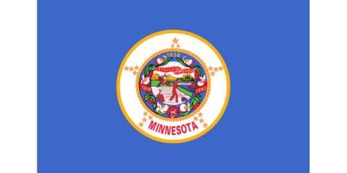 Minnesota state flag