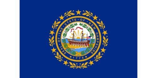 New Hampshire state flag