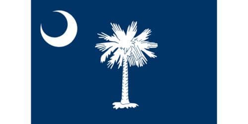 South Carolina state flag