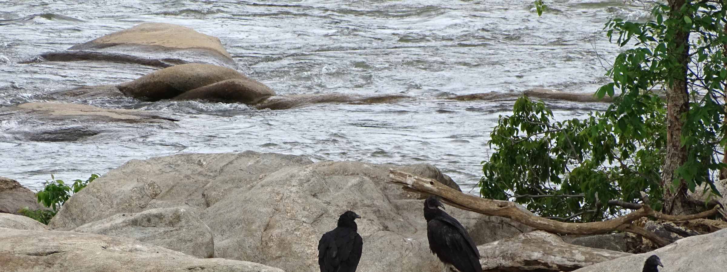 James River